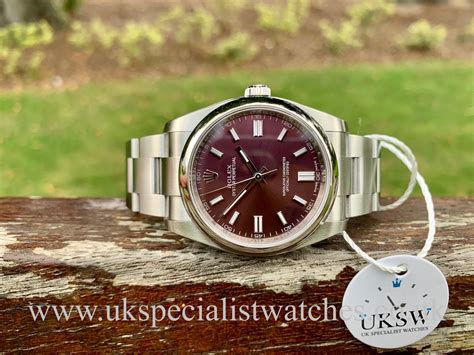 rolex 36mm red grape